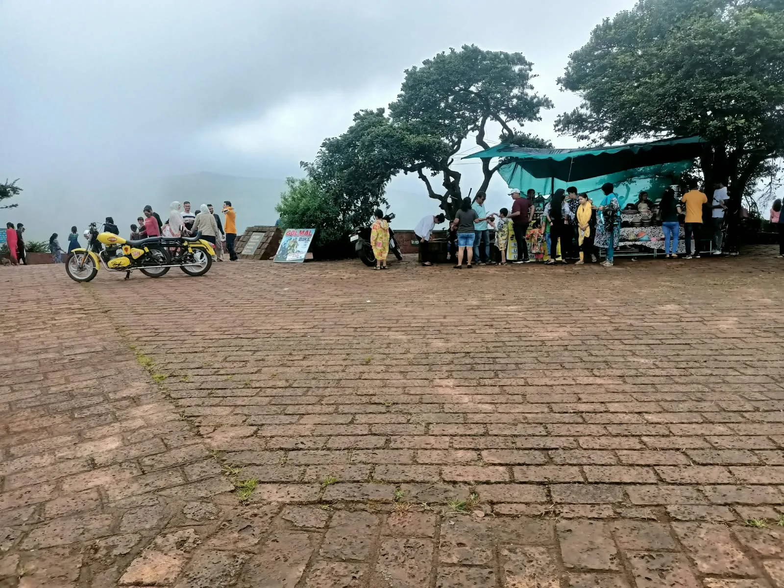 Fog-covered forest trail near Mahabaleshwar