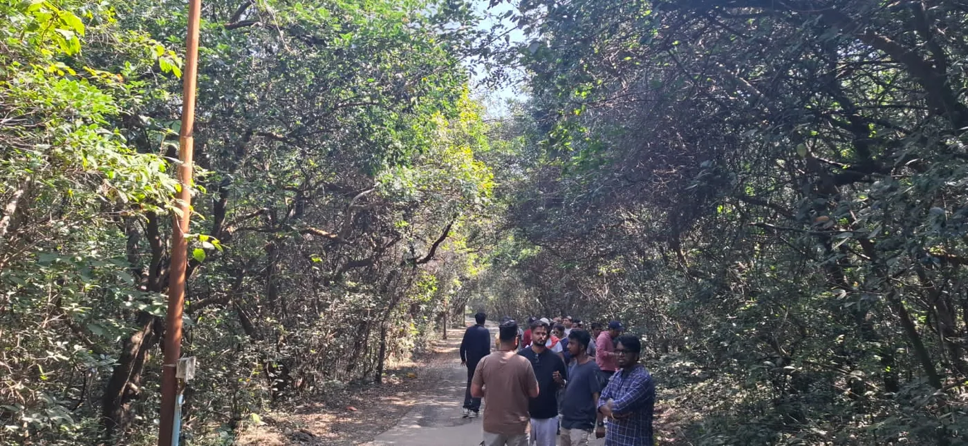 Dense forest path scouted as a filming location